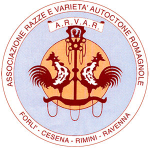 logo_arvar