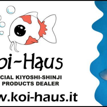 koi-haus