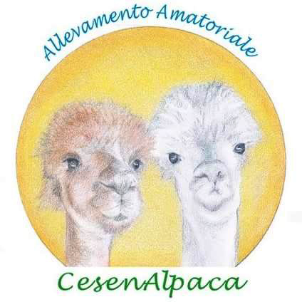 logo_cesenAlpaca